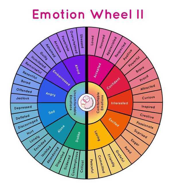 Emotion Wheel II